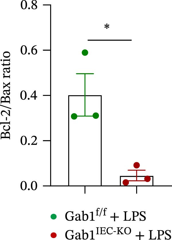 Figure 26