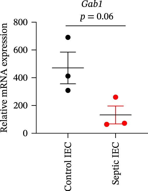 Figure 34