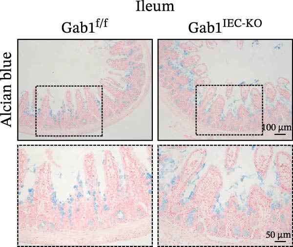 Figure 35