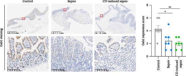 Figure 36