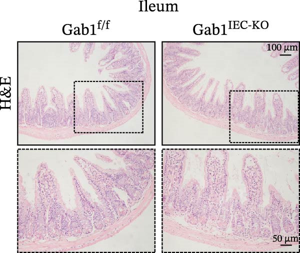 Figure 37