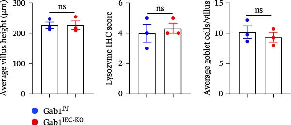 Figure 39