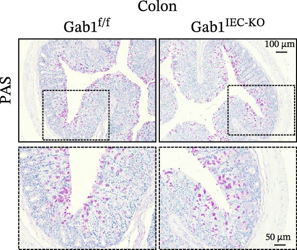 Figure 41