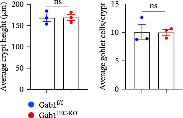 Figure 42