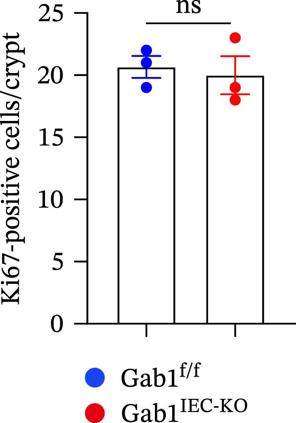 Figure 44