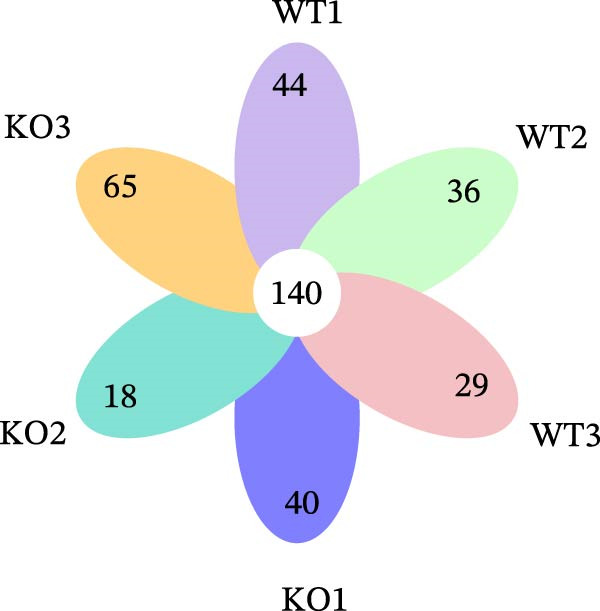 Figure 45