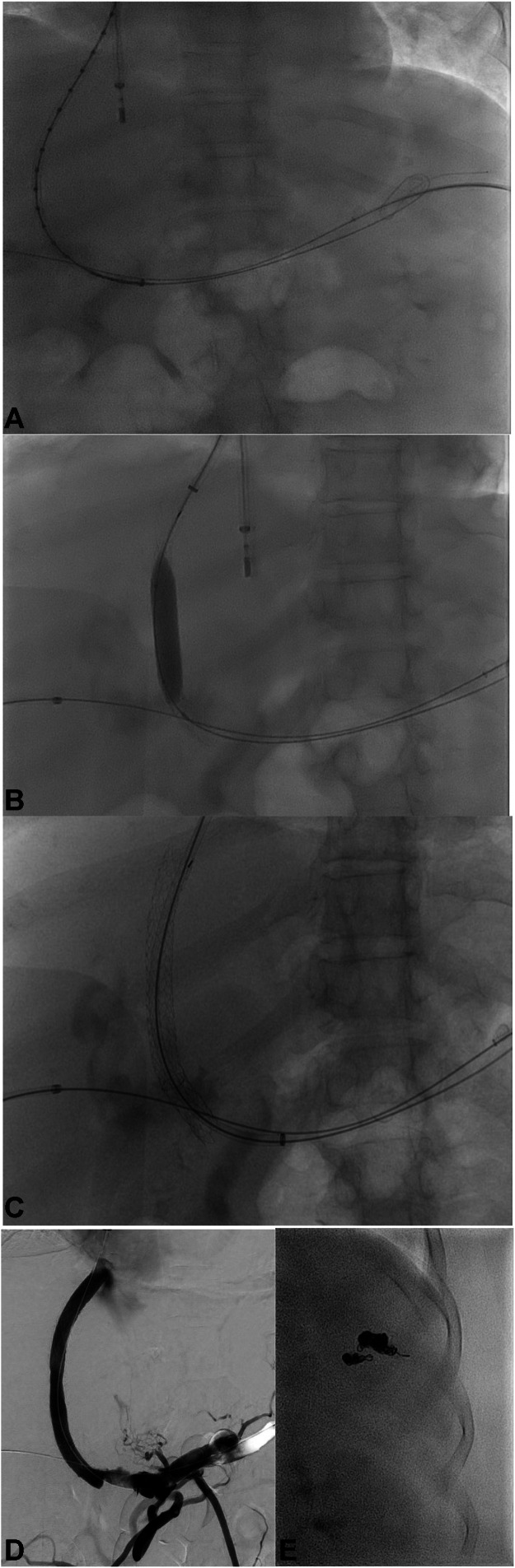 Figure 5