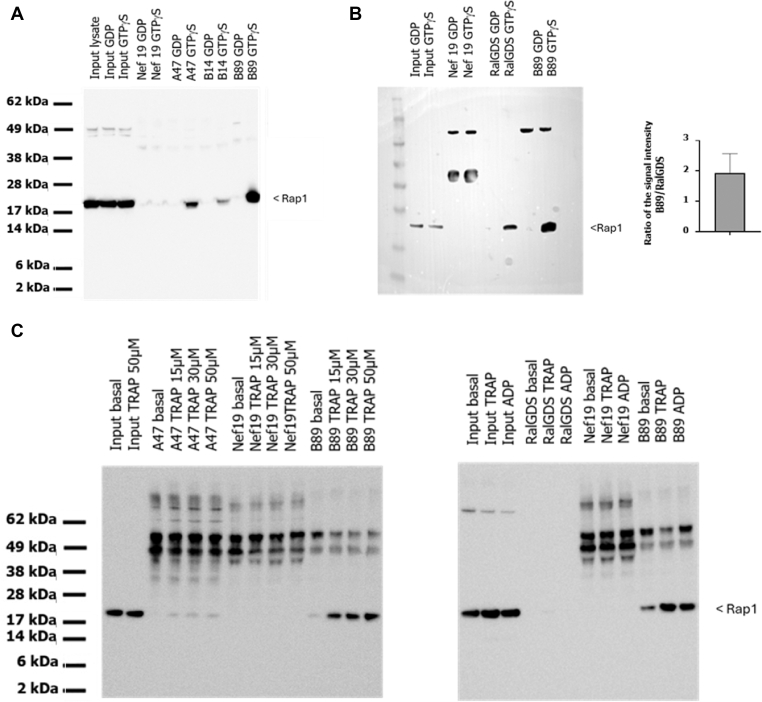 Figure 6