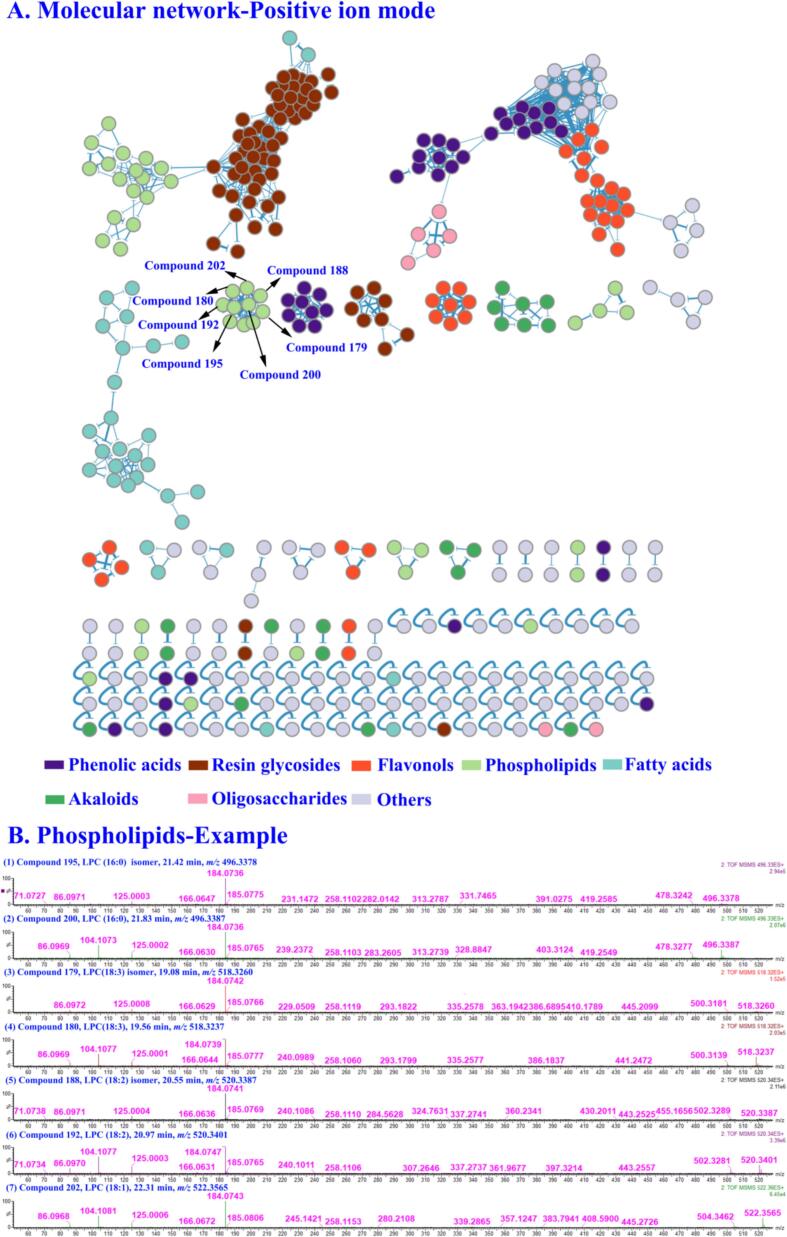 Figure 9