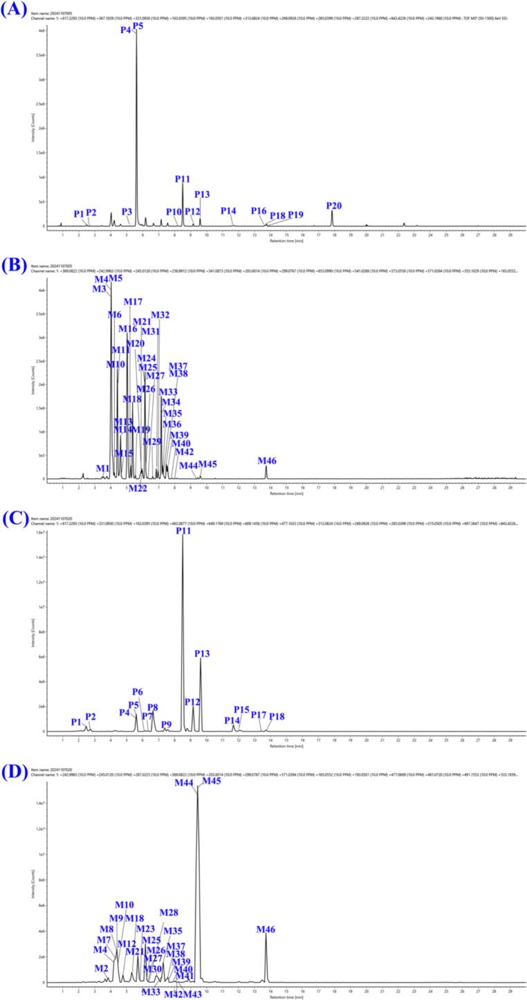 Figure 12