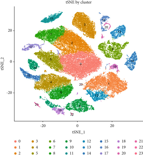 Figure 20