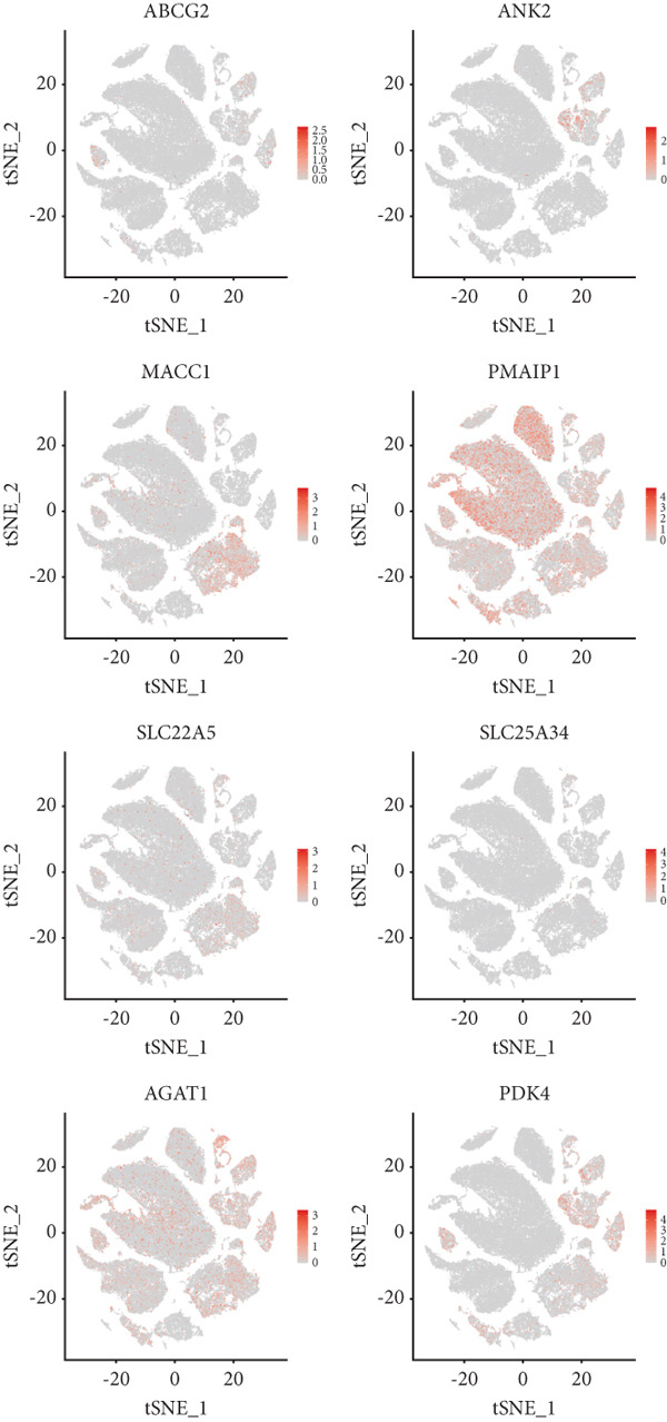 Figure 25