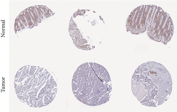 Figure 30