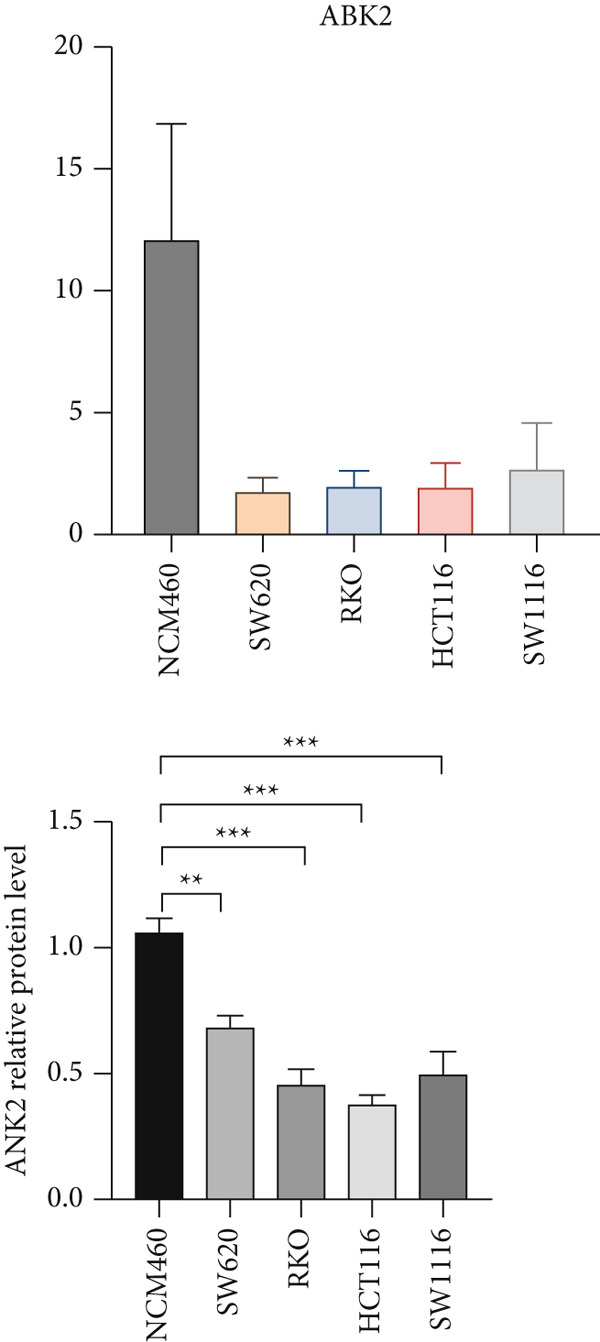 Figure 31
