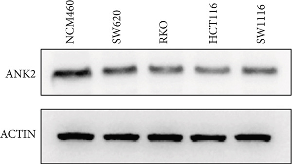 Figure 32
