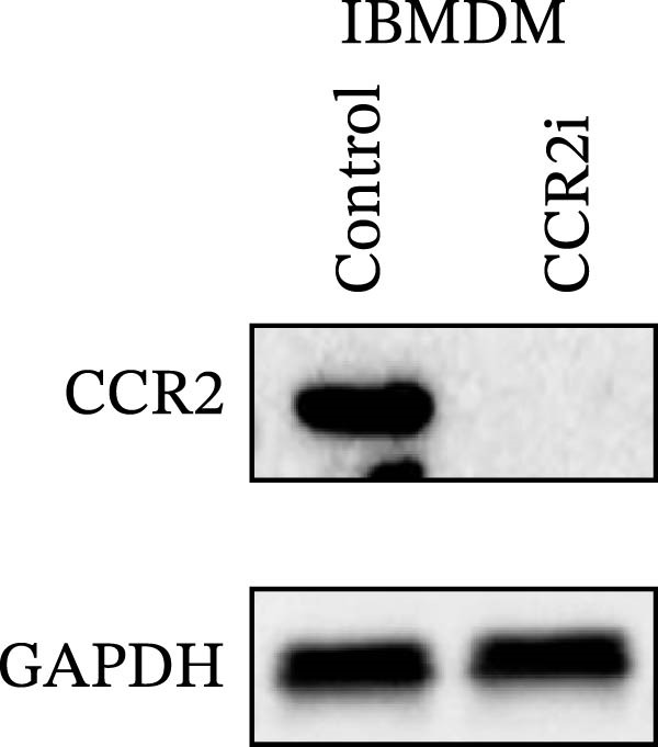 Figure 26