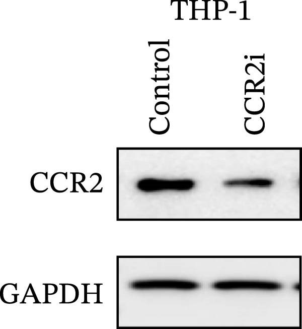 Figure 29
