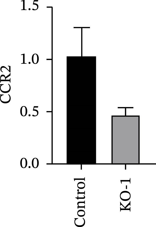 Figure 31