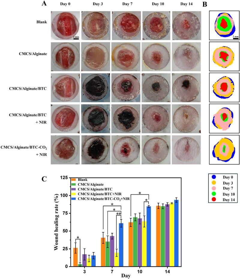 Figure 6