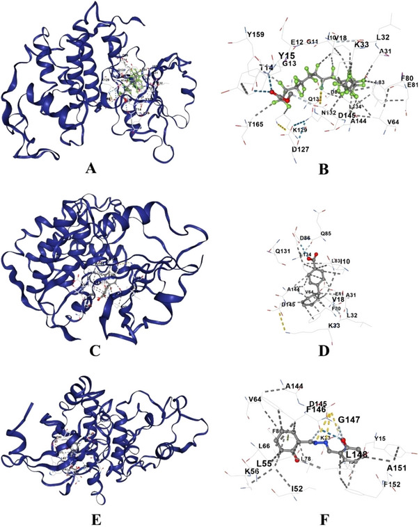 Figure 9