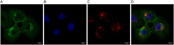 Figure 5