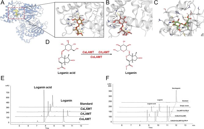 Figure 6