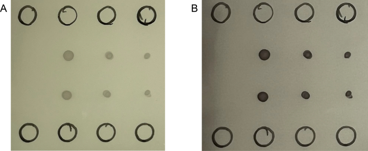 Figure 16