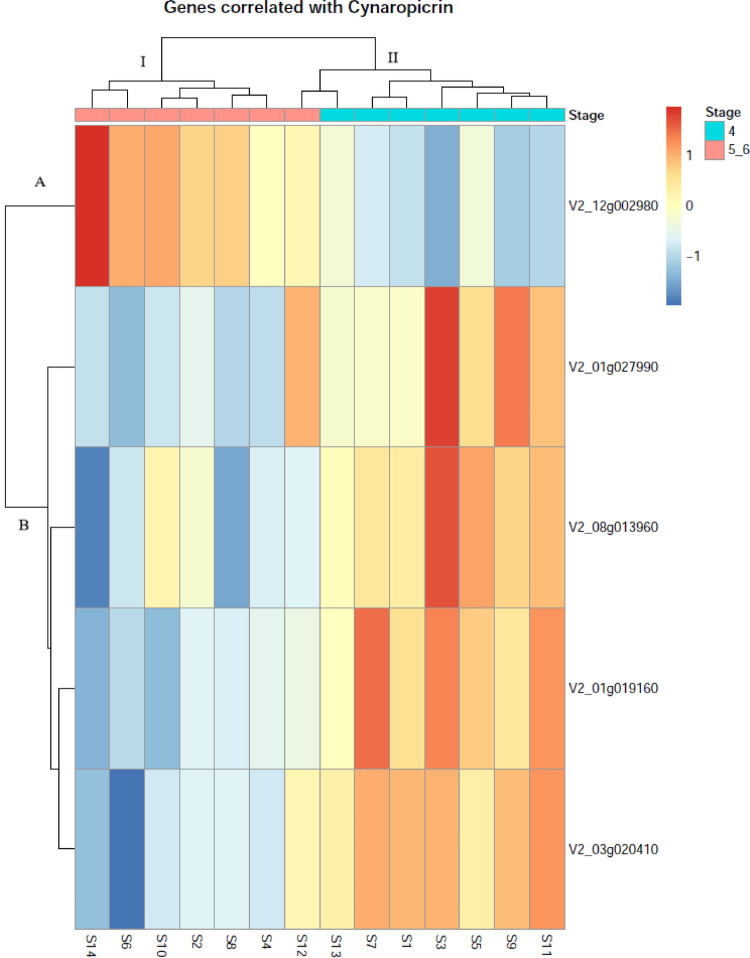 Figure 13