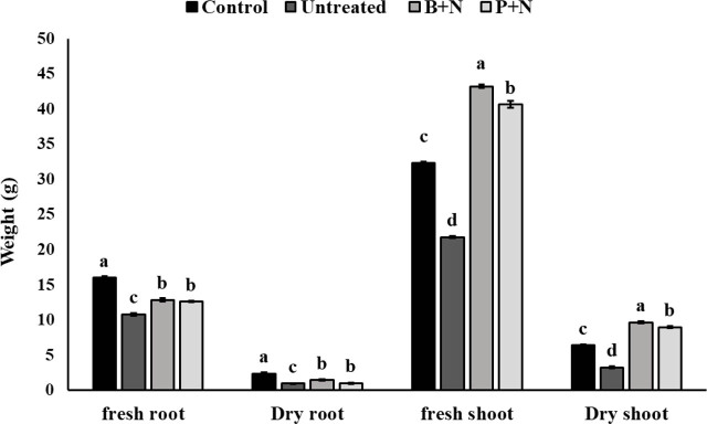 Figure 5