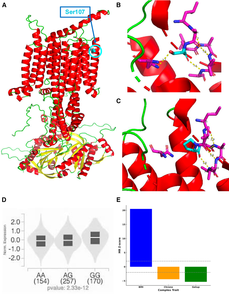 Figure 6