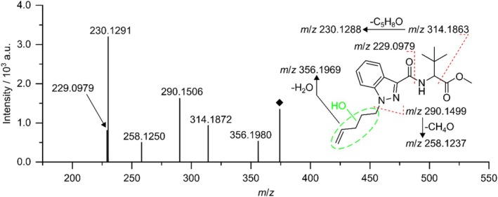 FIGURE 4