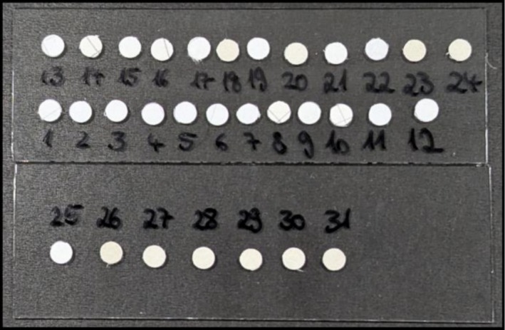 FIGURE 2