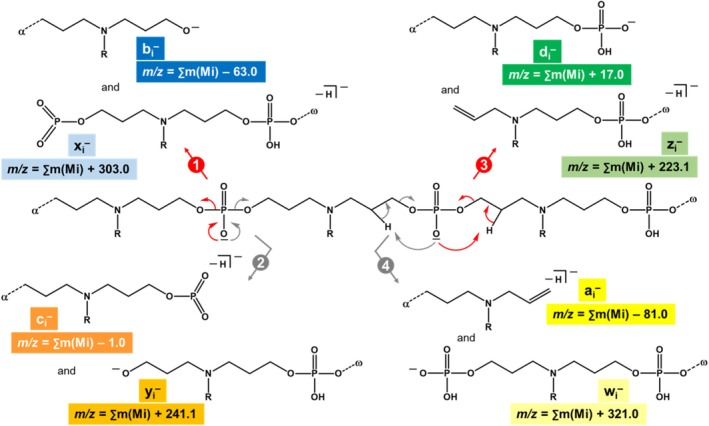 SCHEME 2