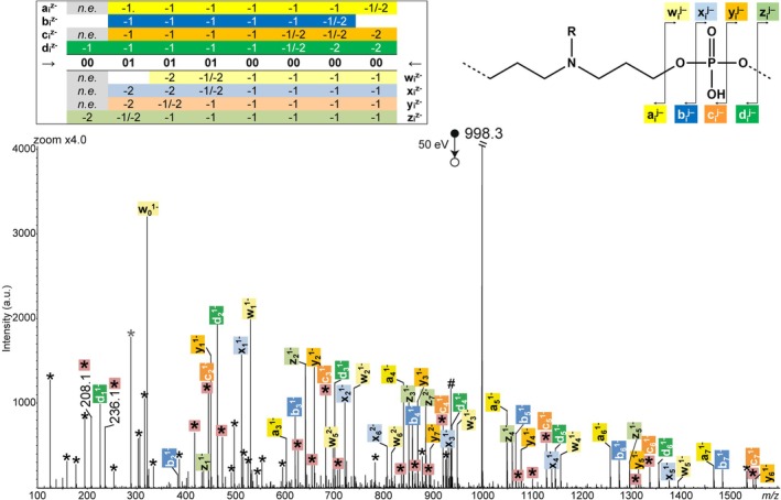 FIGURE 2