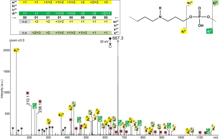 FIGURE 3
