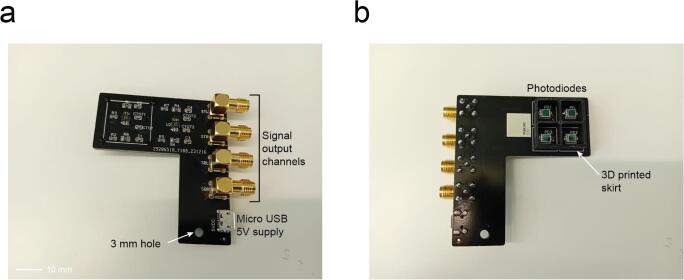 Figure 6