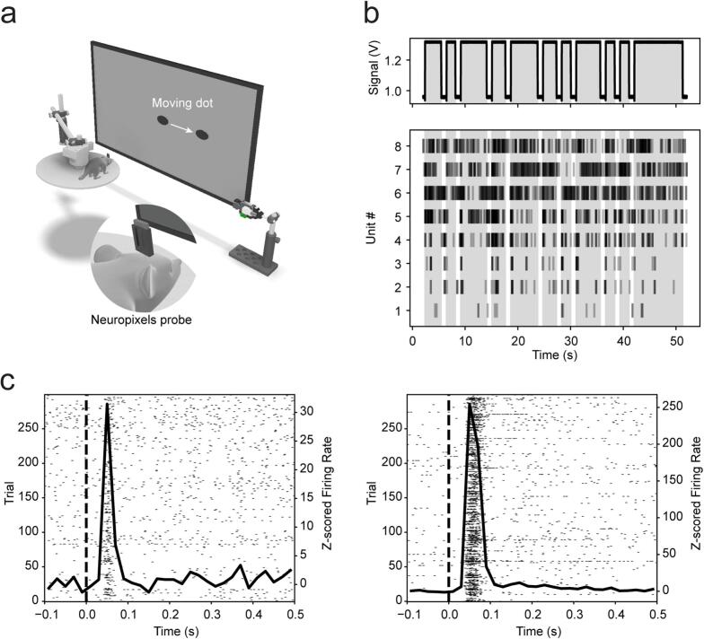 Figure 7