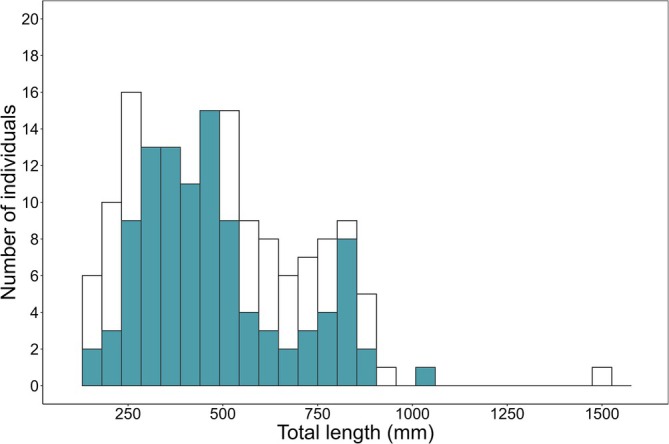 FIGURE 3