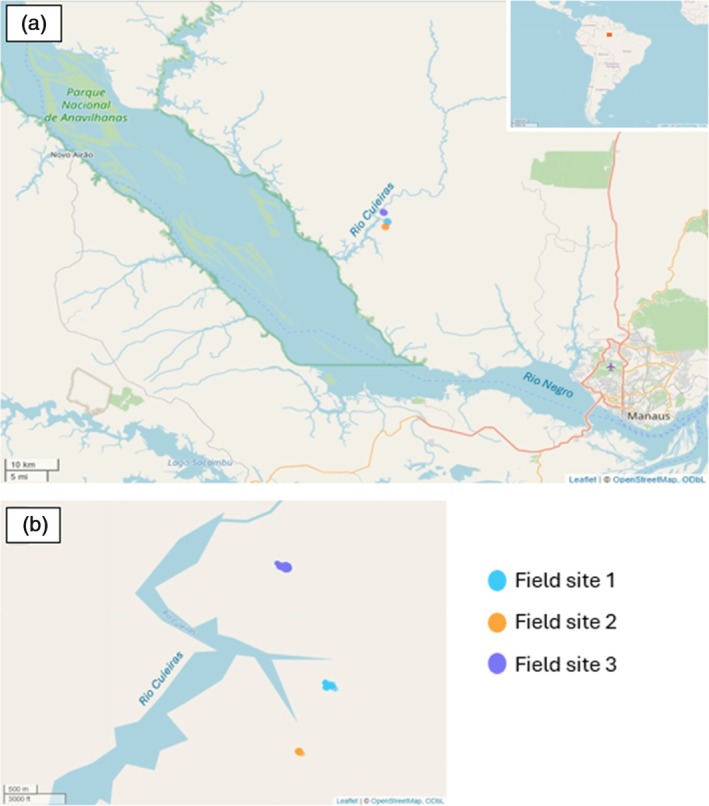 FIGURE 1