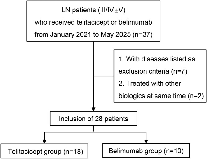 Figure 1