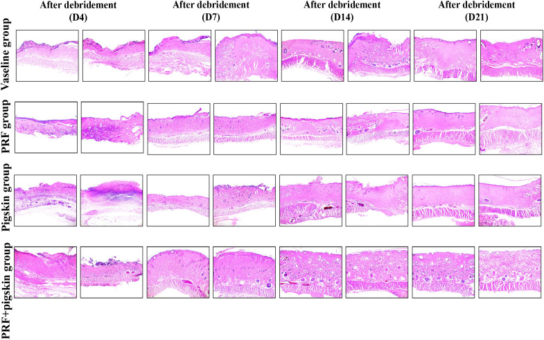 Figure 3