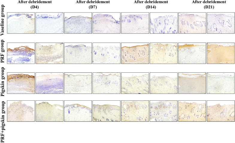 Figure 6
