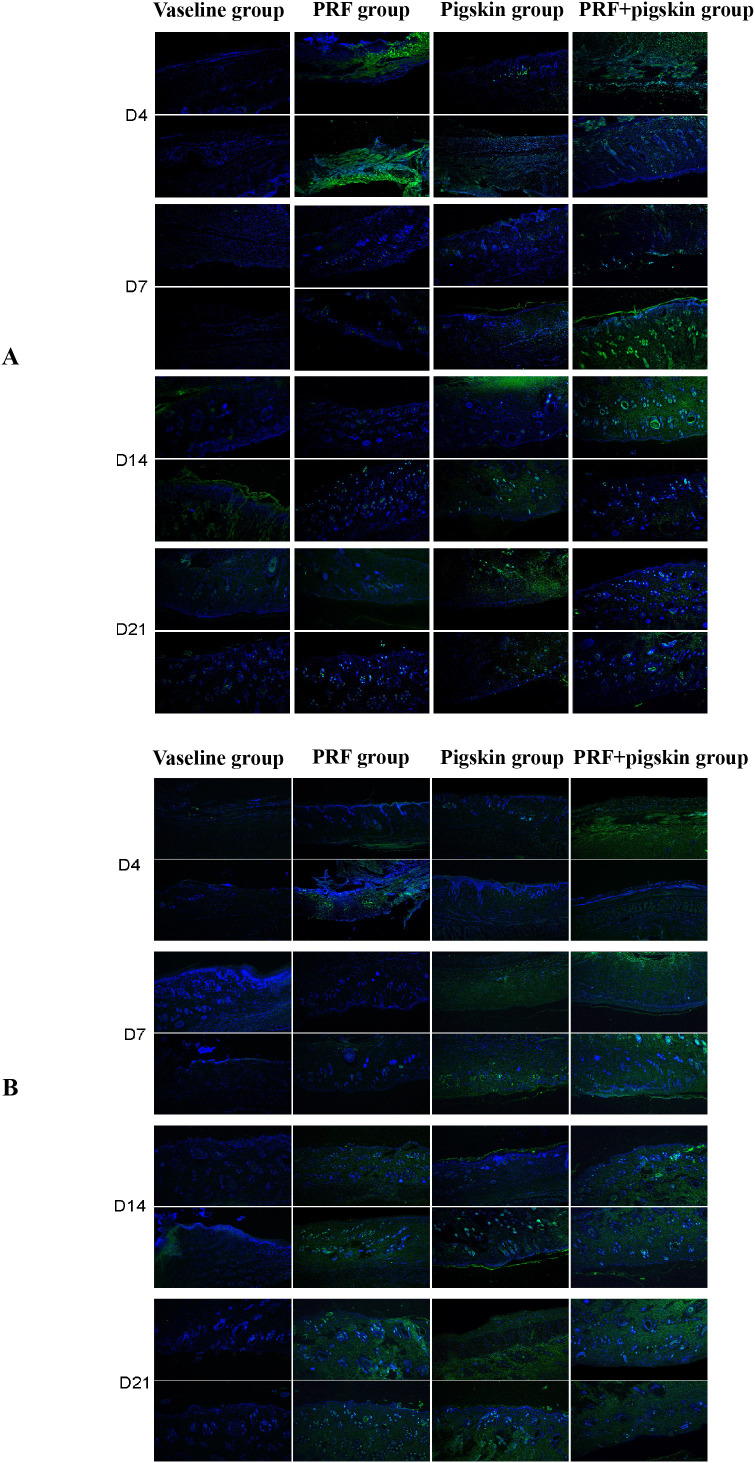 Figure 7