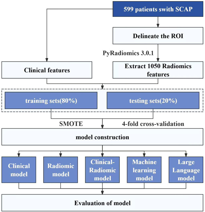 Figure 1