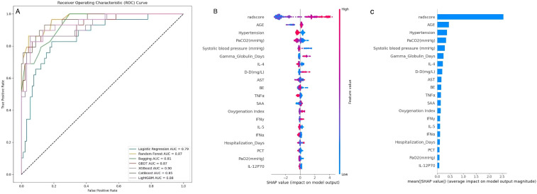 Figure 12