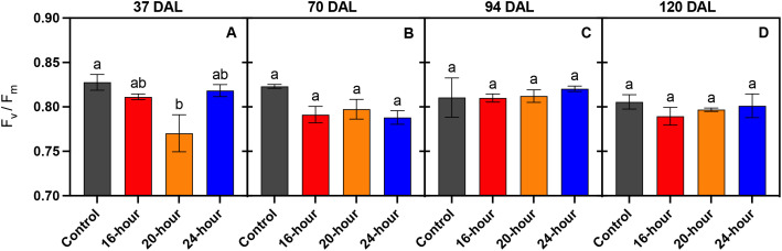 Figure 5
