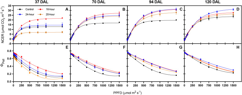 Figure 6