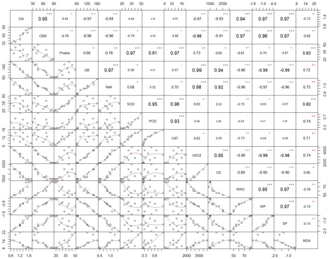 Figure 5