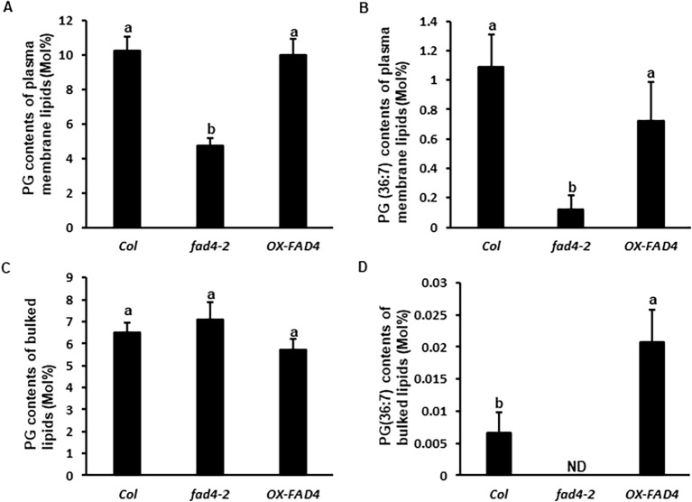 Figure 4