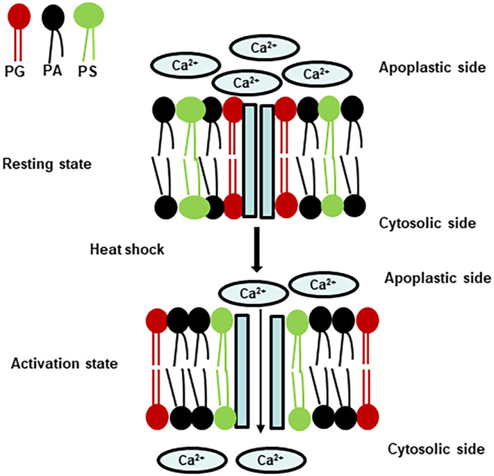 Figure 6
